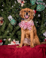 Foster Elyse-3836