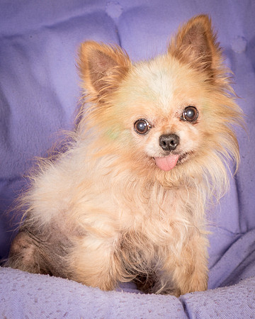 Foster Horace-4991