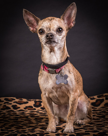 Foster Selina-1263