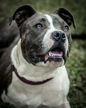 Foster Maya-0289