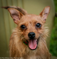 Foster Harry-3614