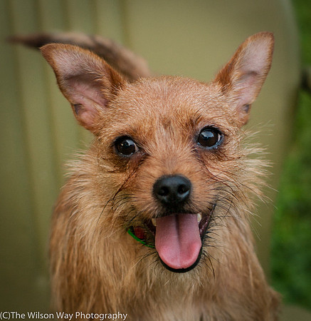Foster Harry-3614