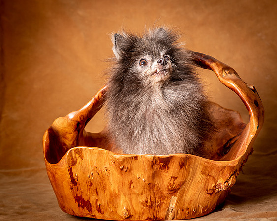 Foster Loretta-1318