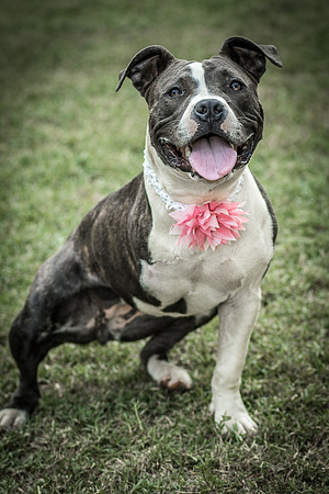Foster Maya-0331
