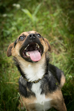 Foster Calvin-1010