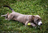 Hugo-3701