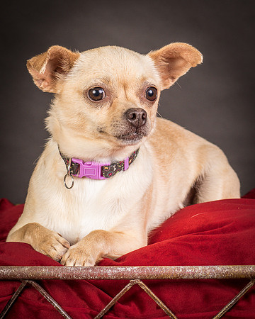 Foster Brielle-0055