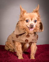 Foster Pancho-9501