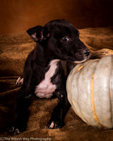 Foster Beryl-6274
