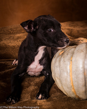 Foster Beryl-6274