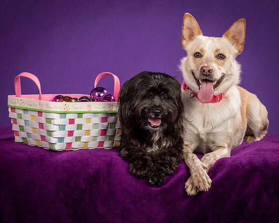 Henry and Maggie-1329