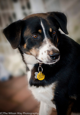 Foster Cady-9865