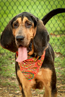 Jethro-0873
