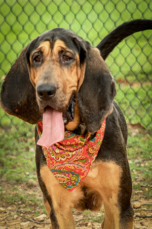 Jethro-0873