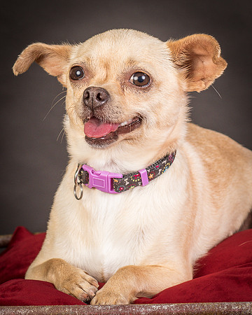 Foster Brielle-0045