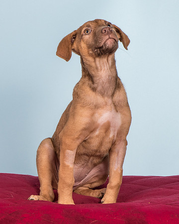 Foster Bronwyn-8363