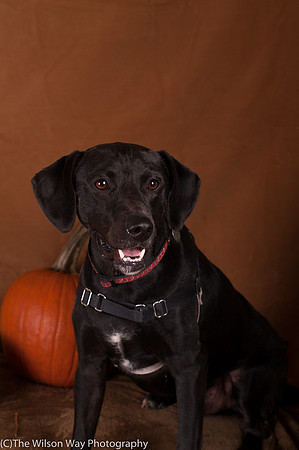 Foster Charles-5238