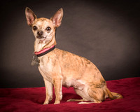 Foster Selina-1056