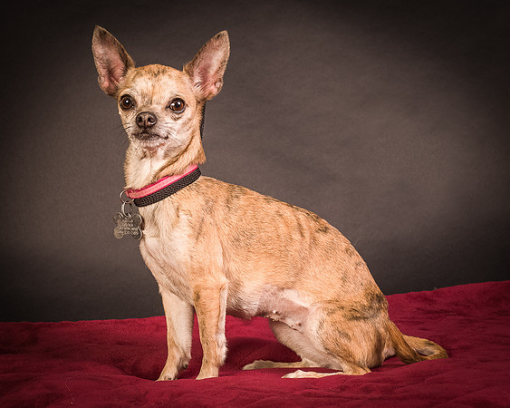 Foster Selina-1056
