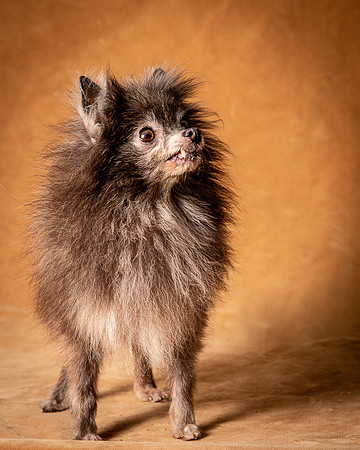 Foster Loretta-1303