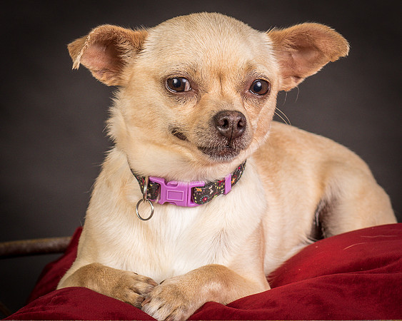 Foster Brielle-0122