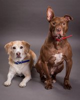 Red and Max Griner-7598