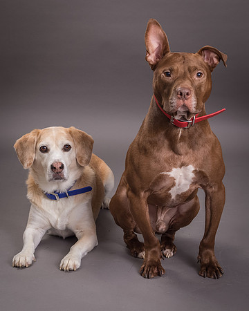 Red and Max Griner-7598
