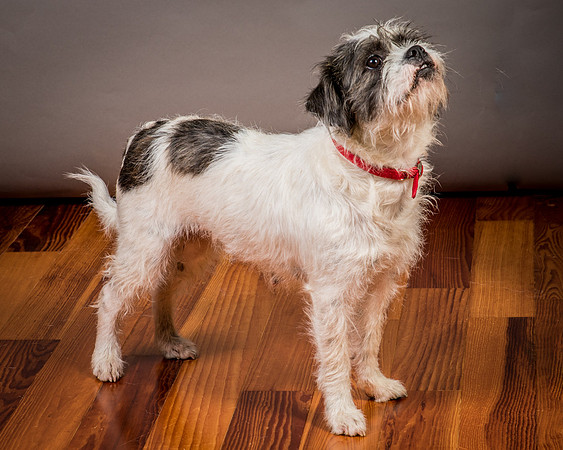 Foster Leeza-2817