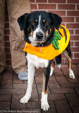 Foster Cady-8854