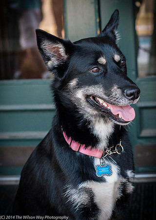 Foster Mala-9484