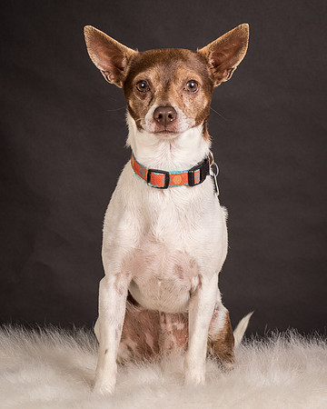 Foster Gus-0318