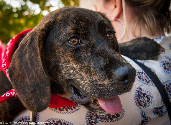Foster Boscoe-9515