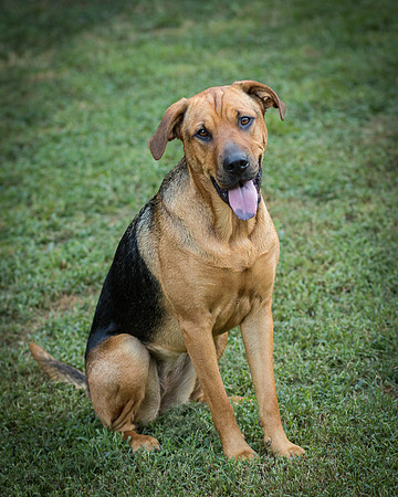 Foster Maya-0410