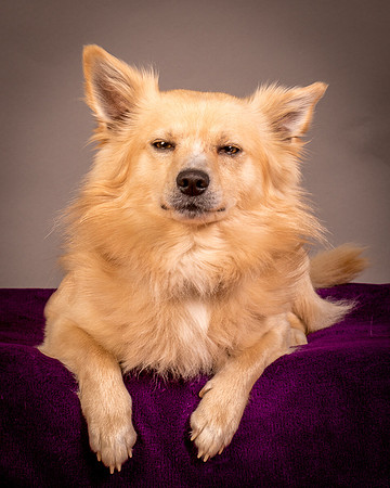 Foster Sergio-8138