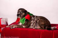 Nina Hanlon-3654