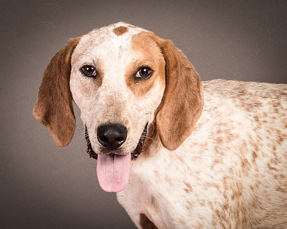 Foster Memphis-3056