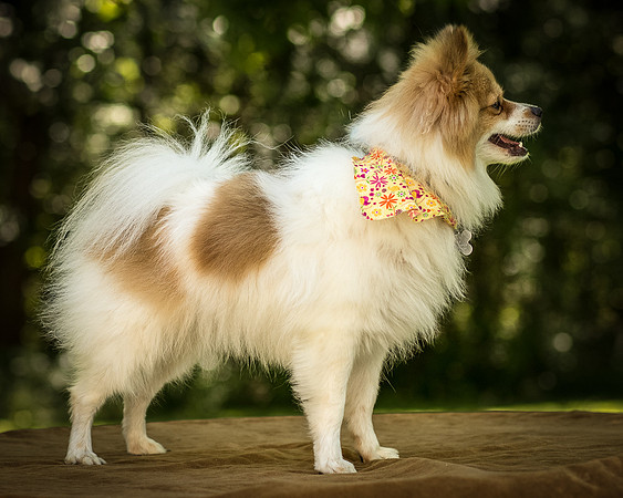 Foster Sydney-7539