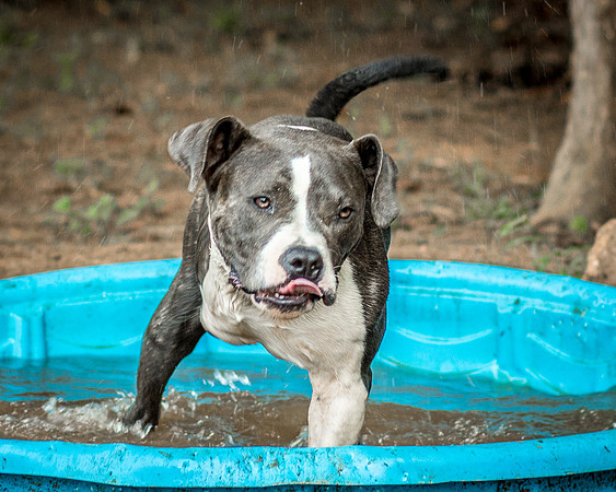 Foster Maya-0375