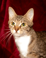 Foster Danni-9468