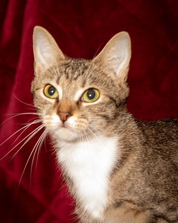Foster Danni-9468