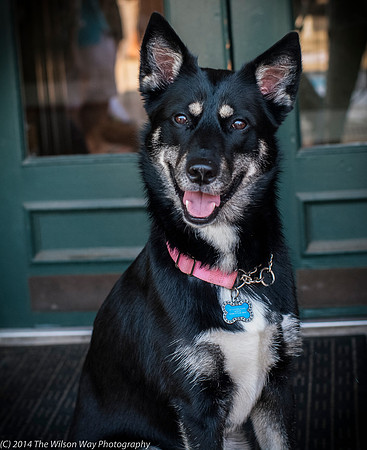Foster Mala-9482