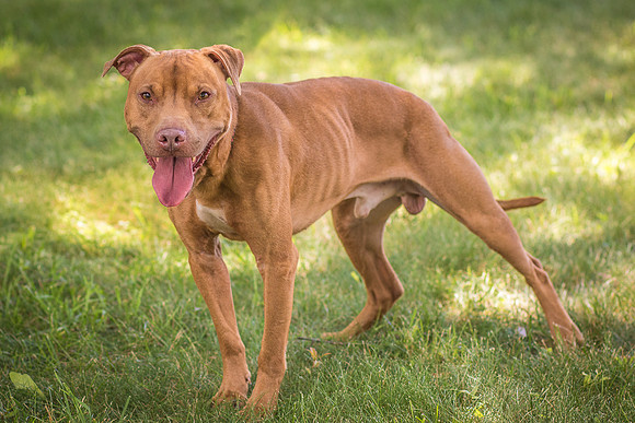 Foster Pablo-7949