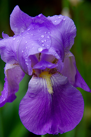 IMGP5528