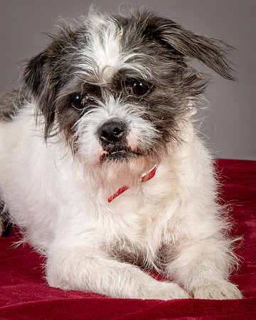 Foster Leeza-2715