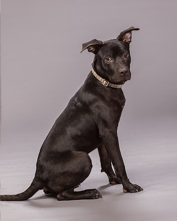 Foster Adam-7006