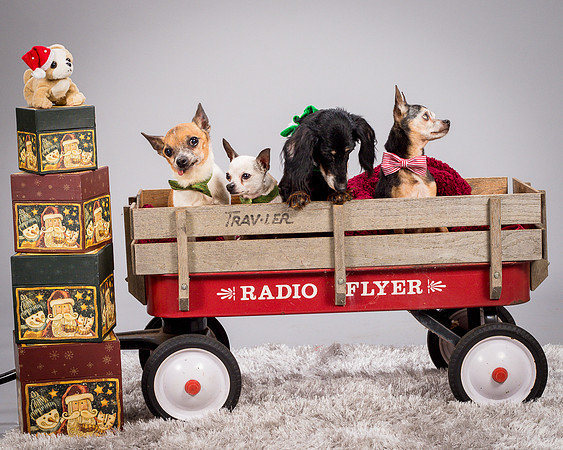 Foster Hospice Gang-3936