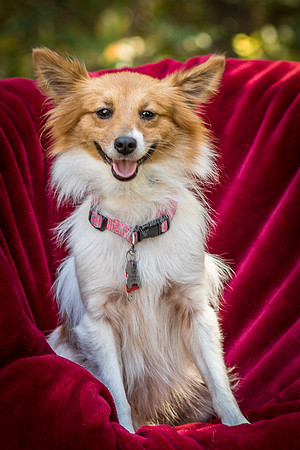 Foster Brandi-3269