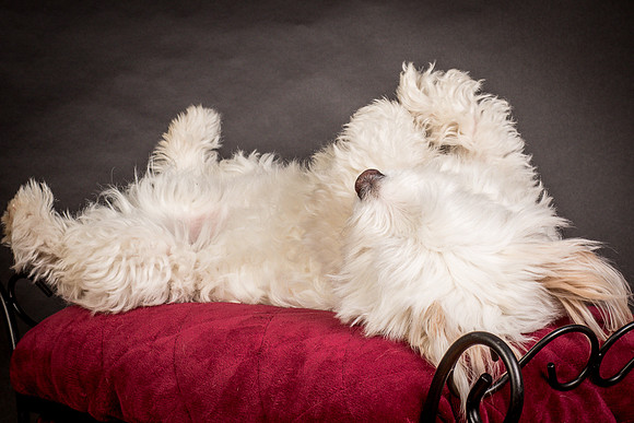 Foster Frosty-0621