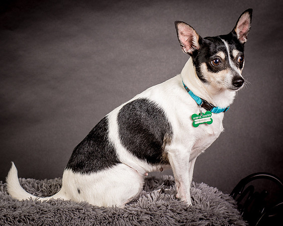 Foster Richa-0451