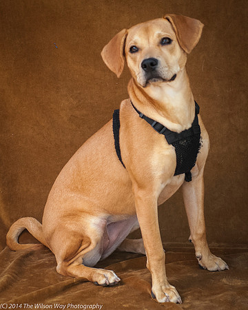 Foster Clarrisa-2275